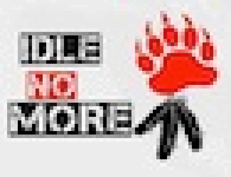 idlenomore_tbn.jpg